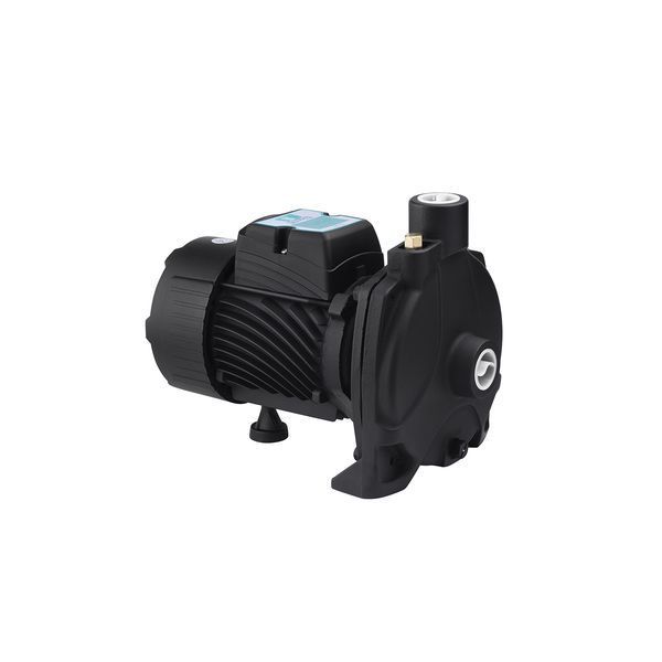 Насос поверхностный поливочный Pumpman TCP158 Нmax 33м Qmax 6куб.м 1"х1" 750 Вт (чугун/алюминий) CV029754 фото
