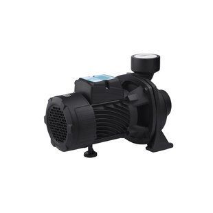 Насос поверхностный поливочный Pumpman TGA1C Нmax 15 м Qmax 30 куб.м 2"х2" 750 Вт CV029763 фото