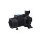 Насос поверхностный поливочный Pumpman TGA1C Нmax 15 м Qmax 30 куб.м 2"х2" 750 Вт CV029763 фото 1